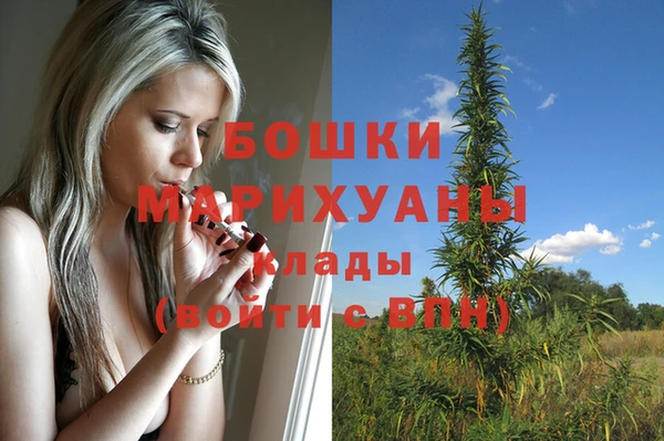 mdpv Медвежьегорск