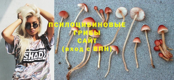 кристаллы Мегион