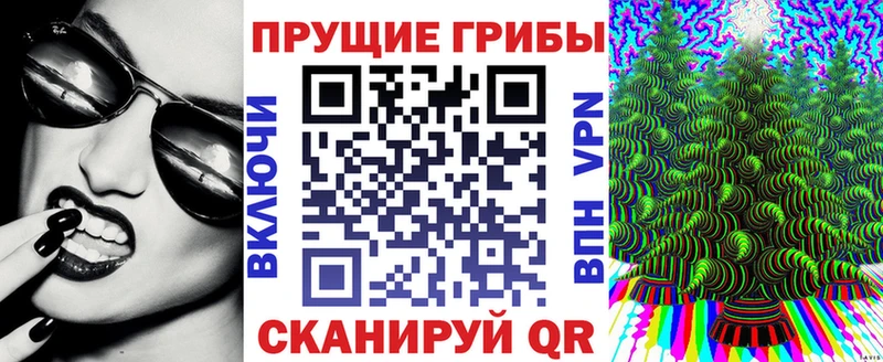 Галлюциногенные грибы GOLDEN TEACHER  Купить  Новоузенск 